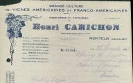 Grande culture de vignes américaines et franco-américaines, Henri Carignon à Monteux.
